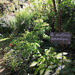 Photo n° 27 de l'avis de Eurydice.a fait le 15/09/2019 à 12:42 pour Le Jardin Retiré à Bagnoles de l'Orne Normandie