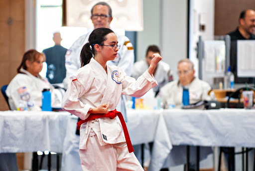 American Martial Arts Academy image