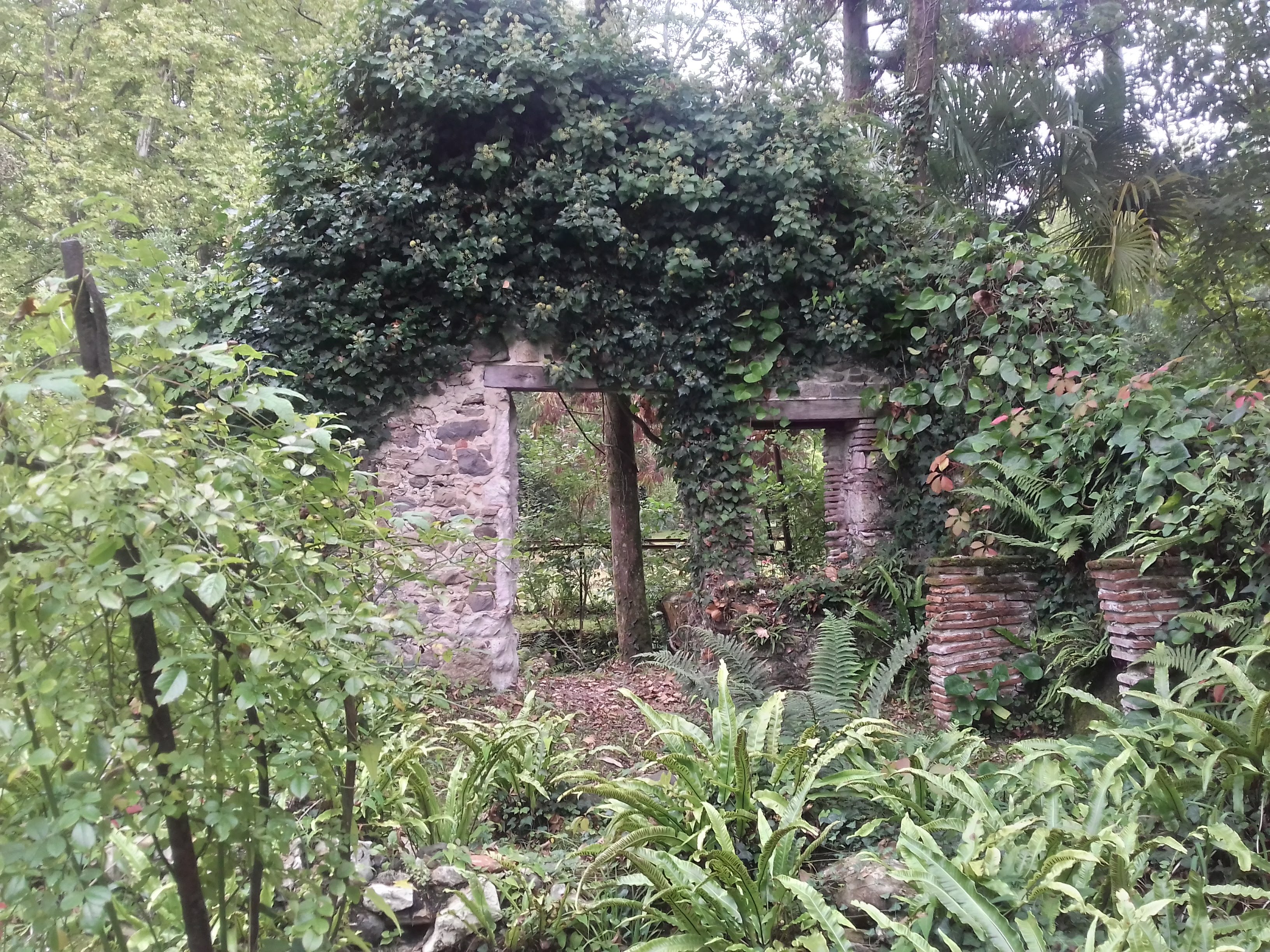 Photo n° 1 de l'avis de Joelle.u fait le 28/09/2021 à 17:03