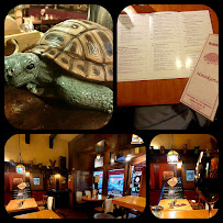 Schildkröte à Berlin menu