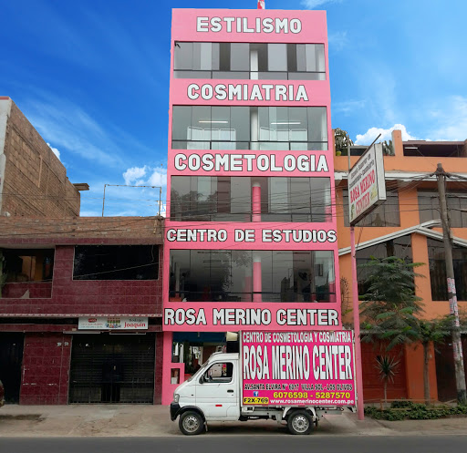Rosa Merino Center
