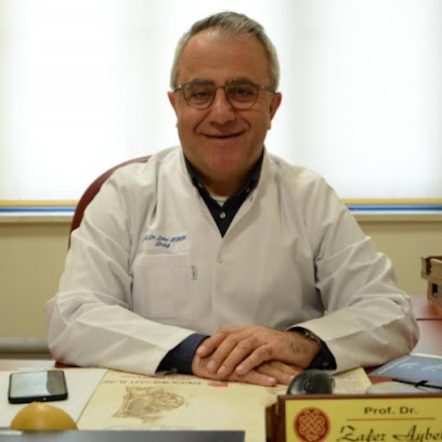Prof. Dr. Zafer Aybek, Üroloji