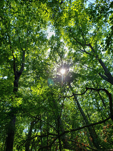 Nature Preserve «Fern Cliff Nature Preserve», reviews and photos, W County Rd 375 S, Greencastle, IN 46135, USA