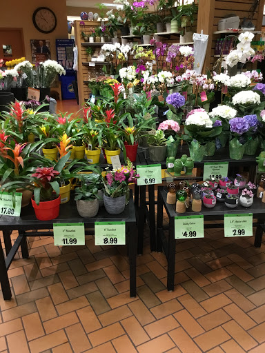 Supermarket «Wegmans», reviews and photos, 1000 NY-36, Hornell, NY 14843, USA