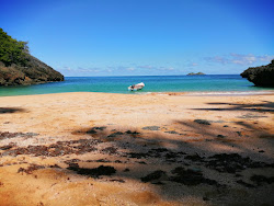 Playa Onda Samana'in fotoğrafı vahşi alan