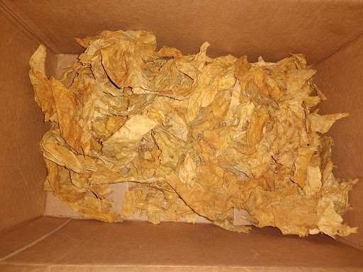 Tobacco Shop «Leaf Only», reviews and photos, 440 Middlefield St, Middletown, CT 06457, USA