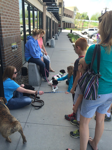 Pet Supply Store «Long Dog Fat Cat», reviews and photos, 16909 Burke St #126, Omaha, NE 68118, USA