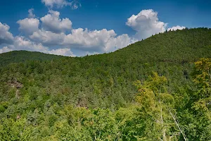 North Vosges Regional Natural Reserve image