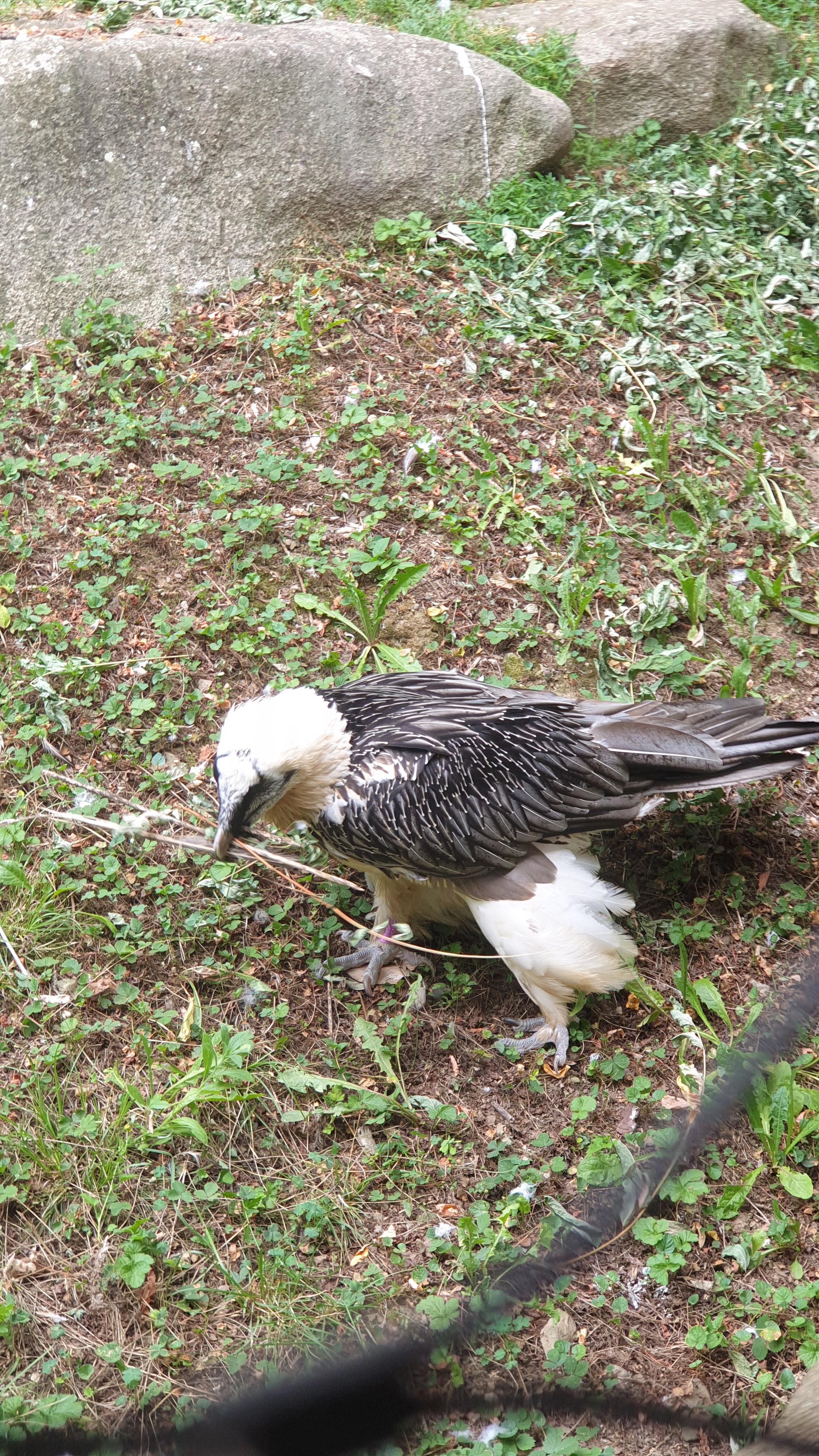 Photo n° 11 de l'avis de frédéric.e fait le 21/07/2022 à 14:28