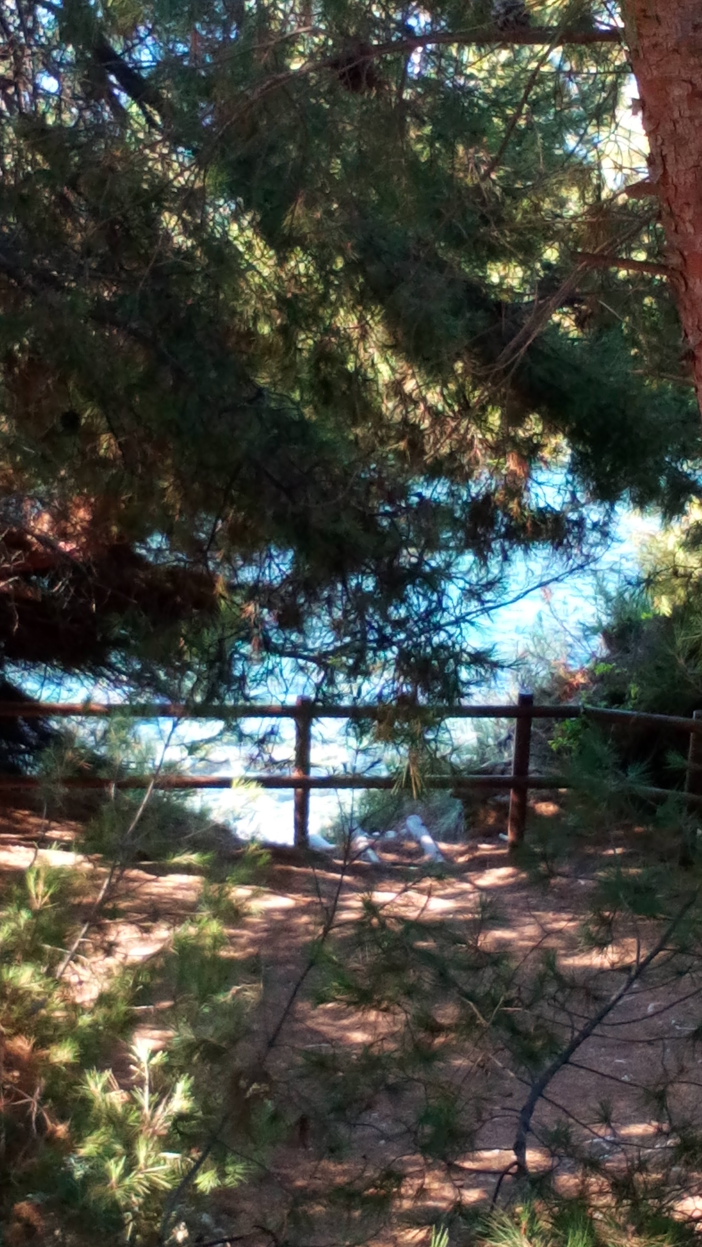 Photo n° 16 de l'avis de Laetitia.a fait le 17/08/2020 à 13:47