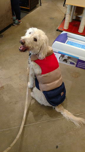 Pet Store «Dogma - Life, With Your Pet.», reviews and photos, 1719 Whetstone Way, Baltimore, MD 21230, USA