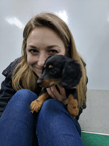 Pet Store «Petland Fairfax», reviews and photos, 9404 Main Street, Fairfax, VA 22031, USA