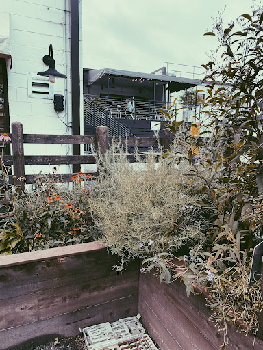 Coffee Shop «Thistle Stop Cafe - Temporarily Closed for Renovations», reviews and photos, 5128 Charlotte Ave, Nashville, TN 37209, USA