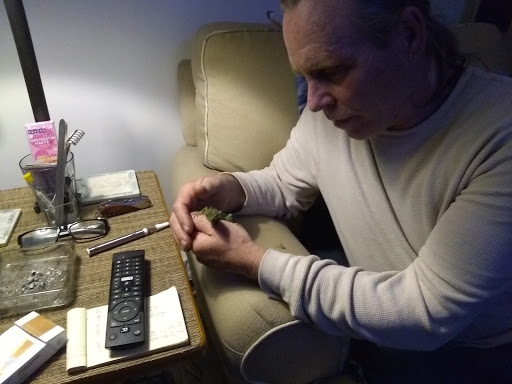 Pet Supply Store «Pet Supplies Plus», reviews and photos, 3644 Long Beach Rd, Oceanside, NY 11572, USA