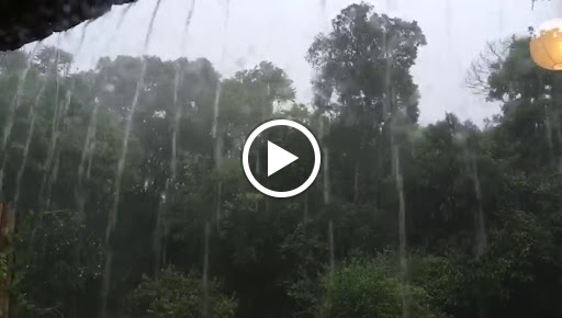 Roller Coaster «Cheetah Hunt», reviews and photos, 10165 N Malcolm McKinley Dr, Tampa, FL 33612, USA