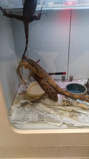 Pet Store «Friendly Pets», reviews and photos, 625 Friendly Center Rd, Greensboro, NC 27408, USA