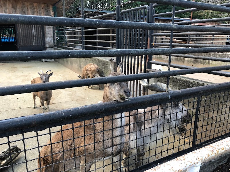 宇都宮動物園遊園地