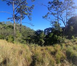 Cerro de San Juan photo