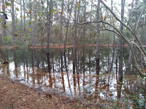 Park «Coursen Tate Park», reviews and photos, 9 Springfield Rd, Beaufort, SC 29907, USA