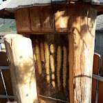 Photo n°5 de l'avis de Massimo.a fait le 19/08/2017 à 16:37 sur le  Hotel Birkenbrunn à Natz