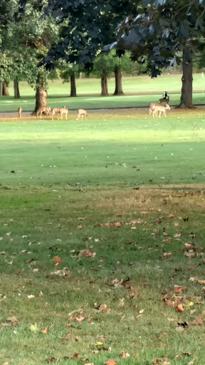 Golf Course «Big Met Golf Course», reviews and photos, 4811 Valley Pkwy, Fairview Park, OH 44126, USA