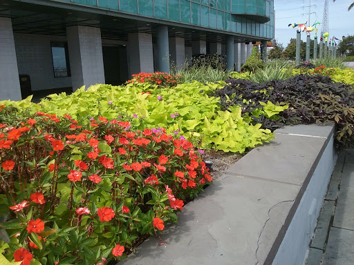 Aquarium «Audubon Aquarium of the Americas», reviews and photos, 1 Canal St, New Orleans, LA 70130, USA