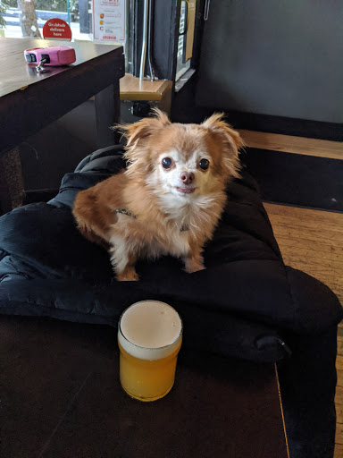 Beer Store «BEER SHOP», reviews and photos, 1026 North Blvd, Oak Park, IL 60302, USA