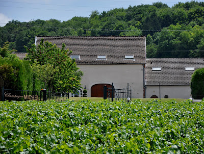 Champagne Paul Michel (SARL) à Cuis