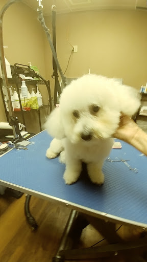 Pet Store «Pet Valu», reviews and photos, 2645 Shillington Rd, Sinking Spring, PA 19608, USA