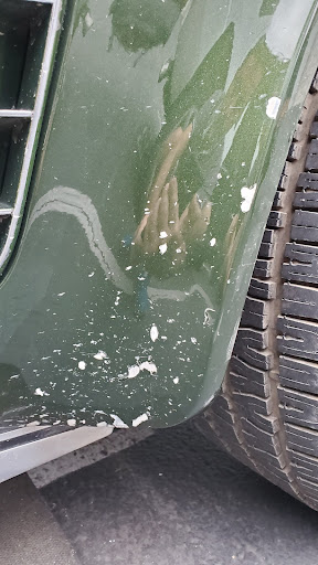 Auto Body Shop «Tigard Auto Body Repair by Ace Reconditioning», reviews and photos, 15785 SW 72nd Ave, Portland, OR 97224, USA