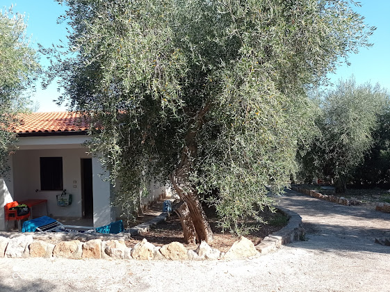 Extérieur hôtels Zagare Residence 71012 Rodi Garganico