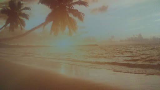 Explore silverback gorilla tattoo ideas, creative tattoo ideas in Egg Harbor Township, available at Dreamline Ink Tattoo