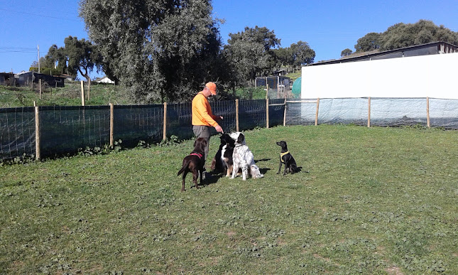 2PET - Escola Canina - Loures