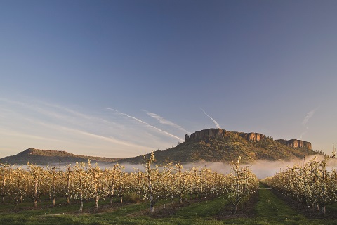 Rogue Credit Union, 1330 Poplar Dr, Medford, OR 97504, USA, Credit Union