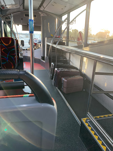 SkyBus Auckland Airport Express