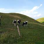 Photo n°5 de l'avis de Sara.a fait le 13/08/2020 à 20:52 sur le  Malga Susine à Polsa
