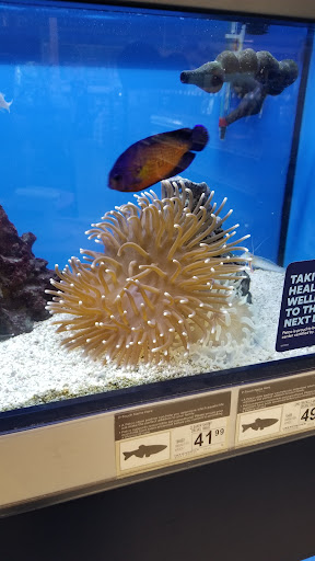 Pet Supply Store «Petco Animal Supplies», reviews and photos, 2807 Wilma Rudolph Blvd, Clarksville, TN 37040, USA