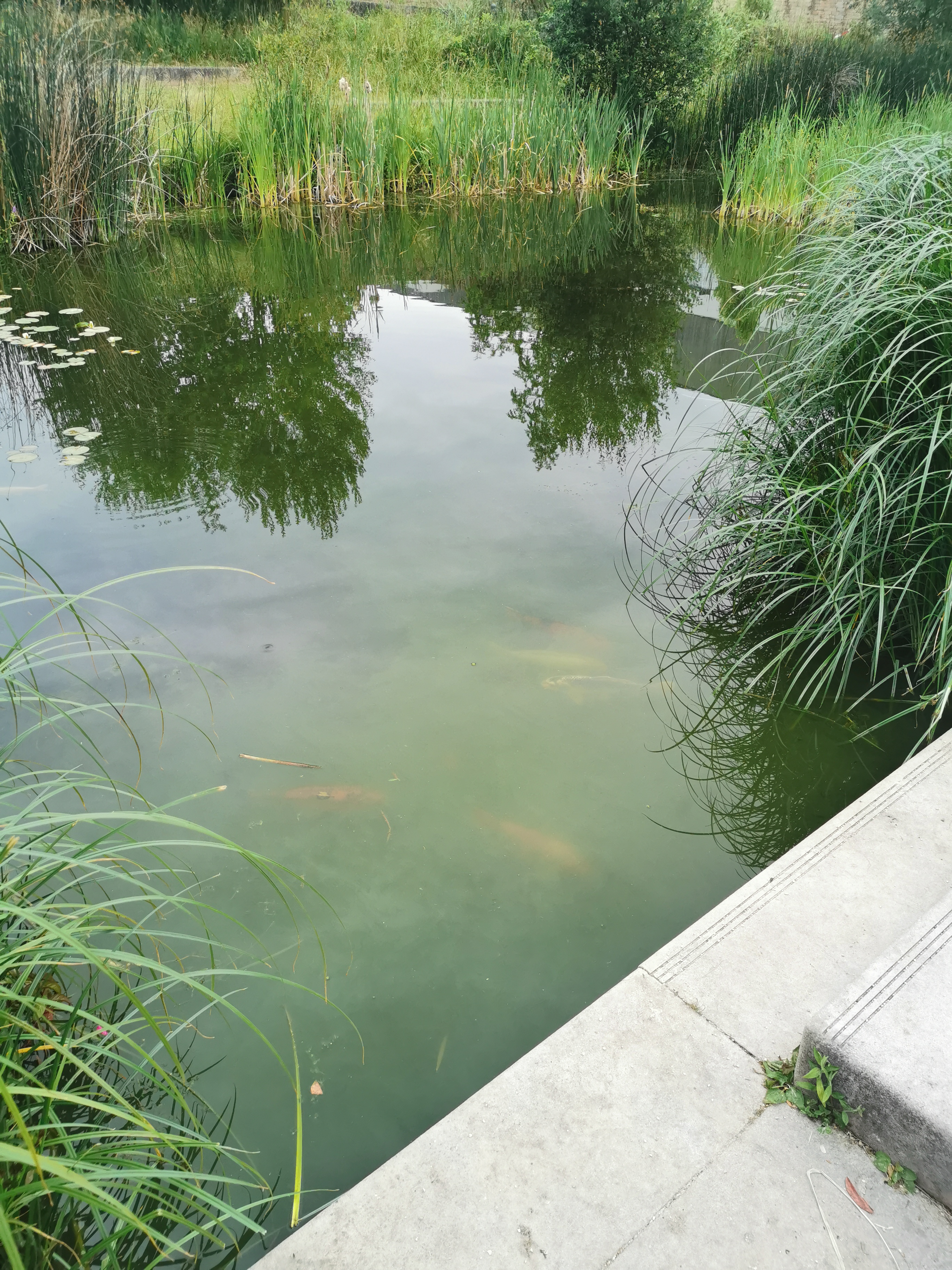 Photo n° 3 de l'avis de Lars.� fait le 11/06/2023 à 07:33