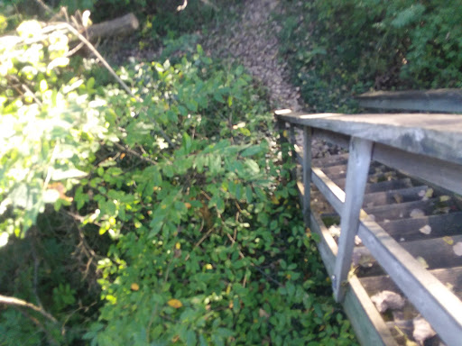 Nature Preserve «Mud Lake Bog Nature Preserve», reviews and photos, 905 E Elm Valley Rd, Buchanan, MI 49107, USA