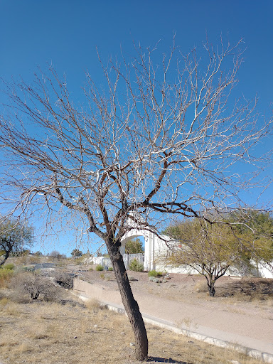 Non-Profit Organization «St. Judes Ranch for Children», reviews and photos