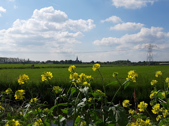 Boerhaar, Boerhaar