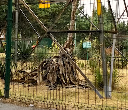 Parque Corazon De La Herradura photo