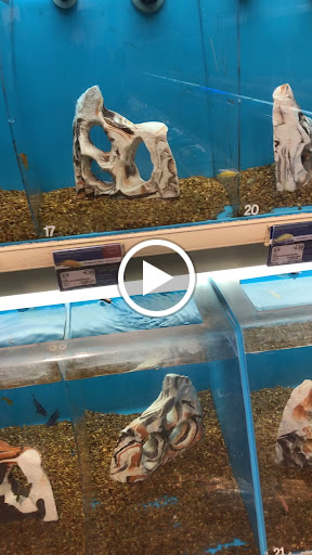 Pet Supply Store «PetSmart», reviews and photos, 190 Rt 10 West, East Hanover, NJ 07936, USA