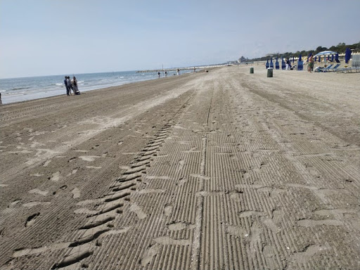 Venezia Spiagge (S.P.A.)