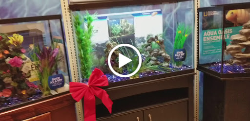 Pet Supply Store «PetSmart», reviews and photos, 700 N Milwaukee Ave, Vernon Hills, IL 60061, USA