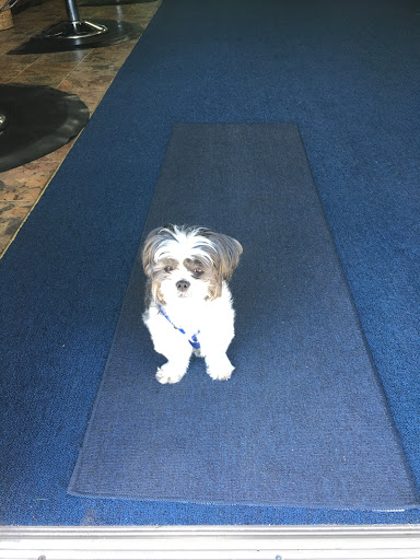 Beauty Salon «Clipper Hair Salon», reviews and photos, 9114 US-192, Clermont, FL 34714, USA