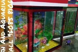 Fish and Aquariums image