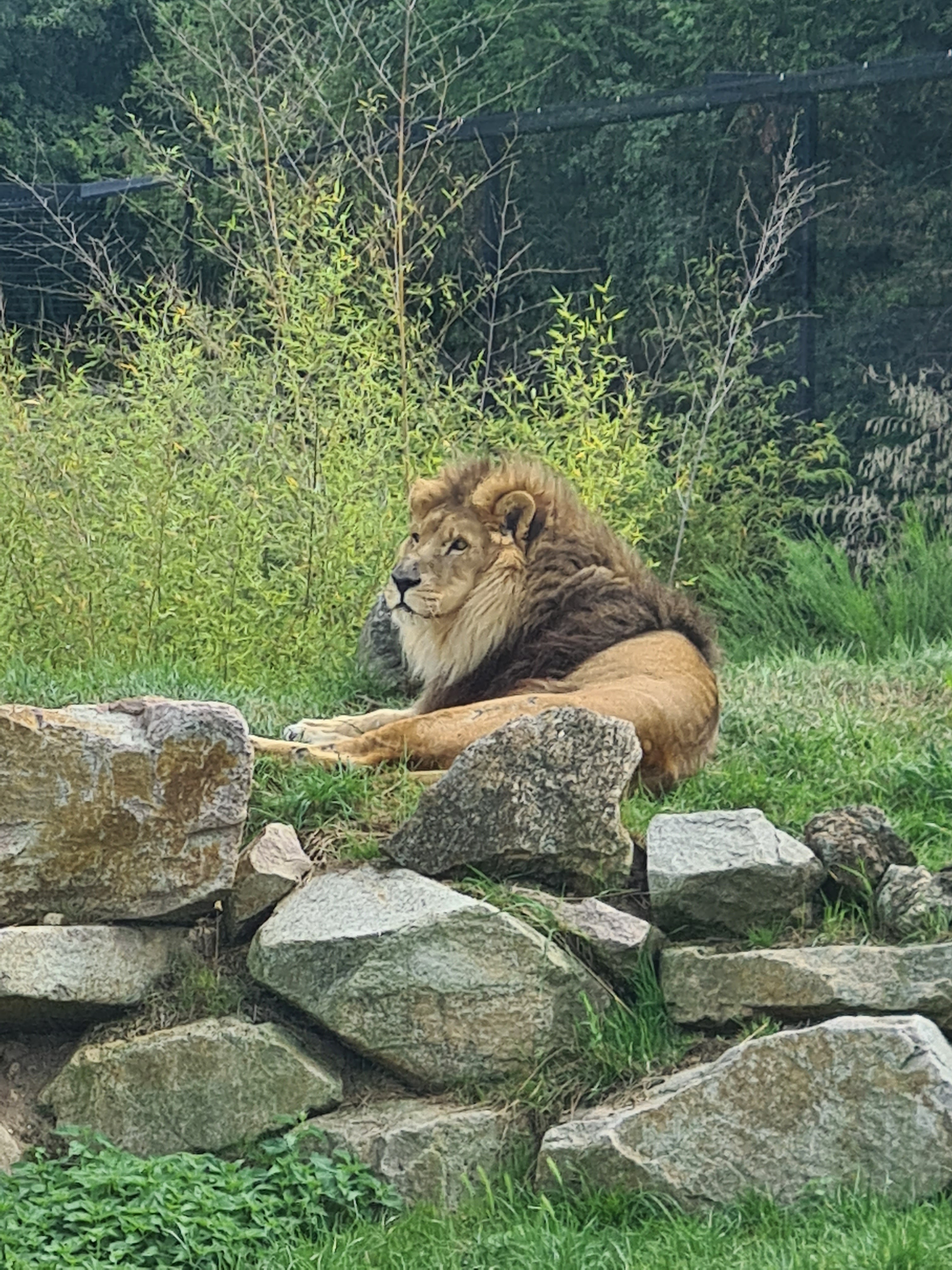 Photo n° 1 de l'avis de christophe.a fait le 05/08/2021 à 16:49