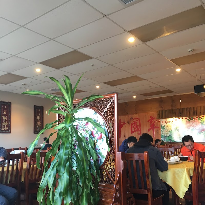Chinese Spicy Restaurant