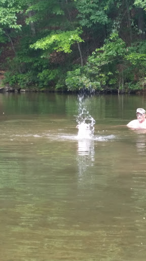 Park «Lykens Glen Park», reviews and photos, 706 Park View Rd, Lykens, PA 17048, USA